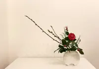 Centuries-old Japanese art of ikebana draws those seeking calm
