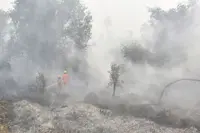 Respiratory problems climb past 170,000 cases in haze-hit Indonesia
