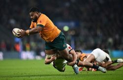Rugby-Wallabies ready to test themselves against the best in Springboks clash