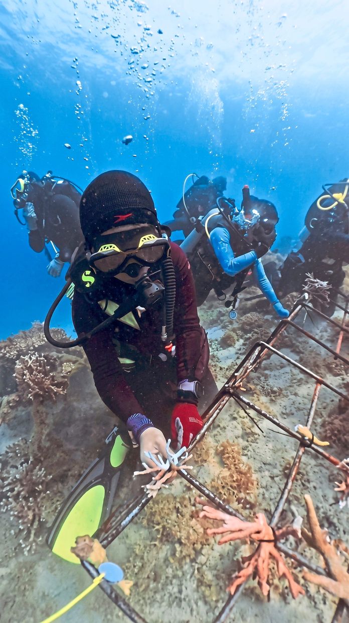A Yayasan JCorp volunteer carrying out coral restoration at Pulau A Yayasan JCorp volunteer carrying out coral restoration at Pulau Aur. — Photos: Handout