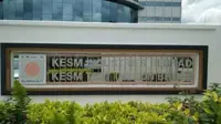 KESM 4Q earnings rise 11-fold