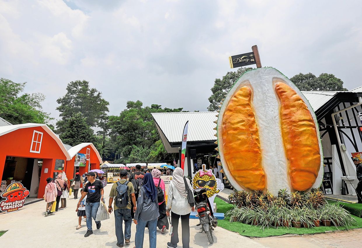 The fruit market attracting visitors with its vibrant display of fresh produce and local flavours.