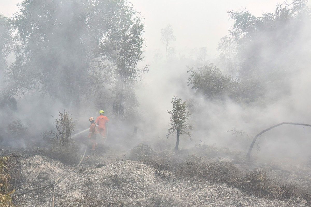 67 psychiatric patients evacuated as wildfire haze worsens in South ...