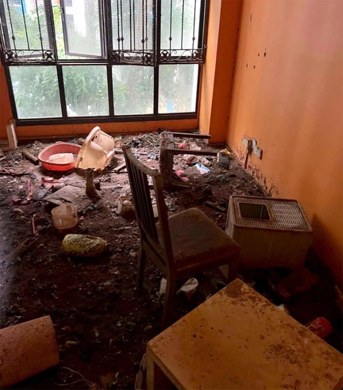 The living area in the apartment covered in rubble and dirt. The windows are unmeshed and opened, posing a risk to the cats. - Photo: NPARKS