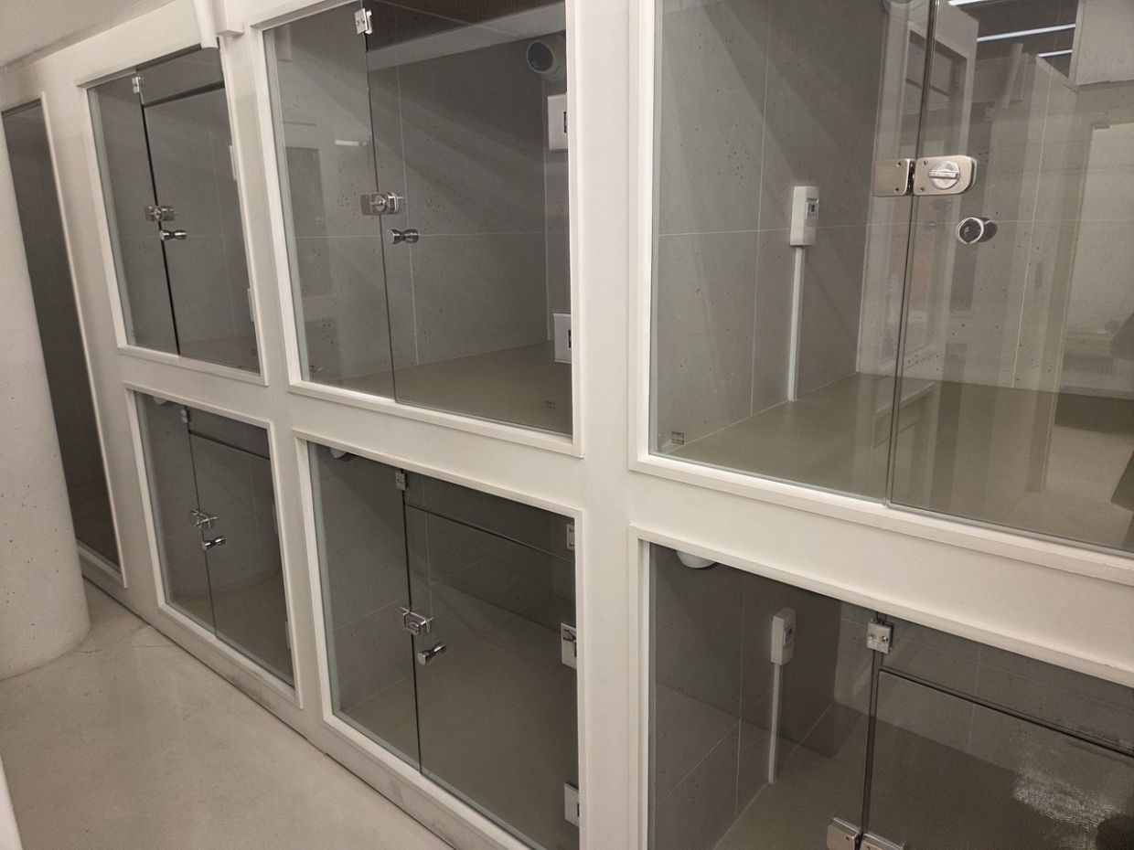 Mungpa's pet hotel rooms for overnight stays. - Photo: The Korea Herald/ANN