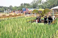 Agro fest big on innovative pull