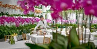 Scented ‘Pink October’ high-tea experience in aid of cancer research