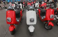 EV two-wheeler sales slump