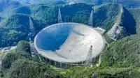 China's FAST telescope discovers over 1,300 pulsars in decade of operation