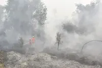 67 psychiatric patients evacuated as wildfire haze worsens in South Kalimantan