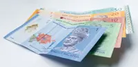 Bank Negara shows what happens to damaged banknotes