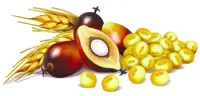 If I were palm oil – Meet tocotrienols