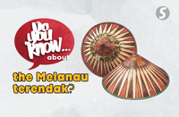 Do you know... about the Melanau terendak?