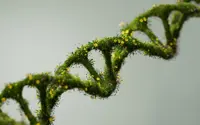 Governance, the cornerstone of sustainability
