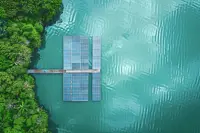 Coal phase-out or cop-out?
