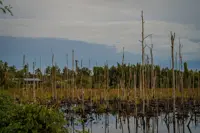 Converting progress into impact 