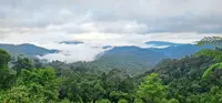 Nature means business