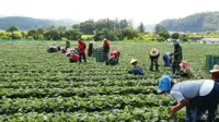 Overseas Lao workers send home 500 mln USD in first 7 months of 2026
