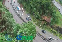 Heavy rain fells trees, causing 7km jam on NKVE