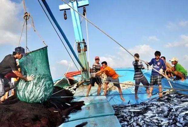 Budget 2027: Fisheries Dept seeks RM66.08mil to boost biodiversity, sustainability