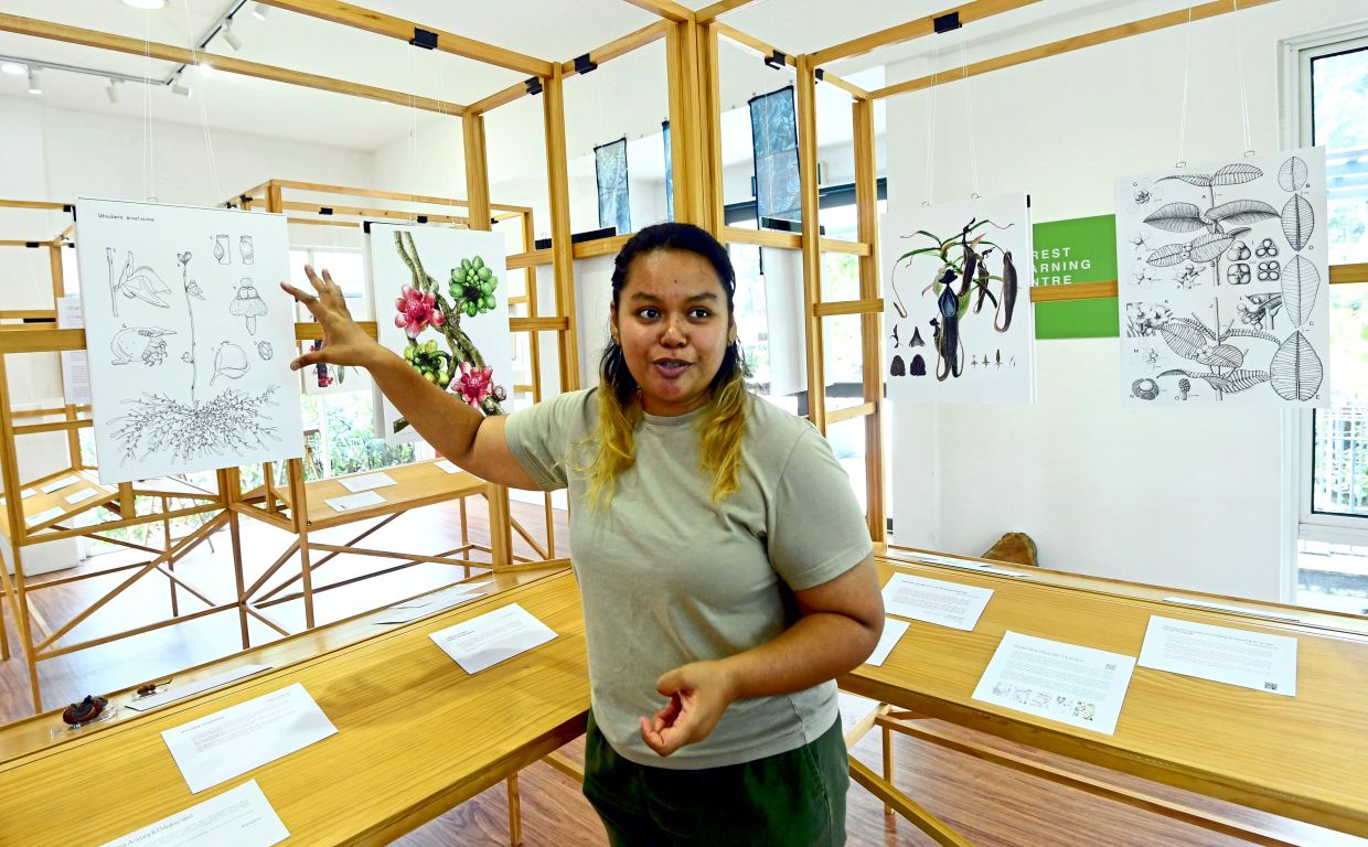  'Through art and education, we hope to show the importance of documenting these species,' says Syuhada. Photo: The Star/Azhar Mahfof