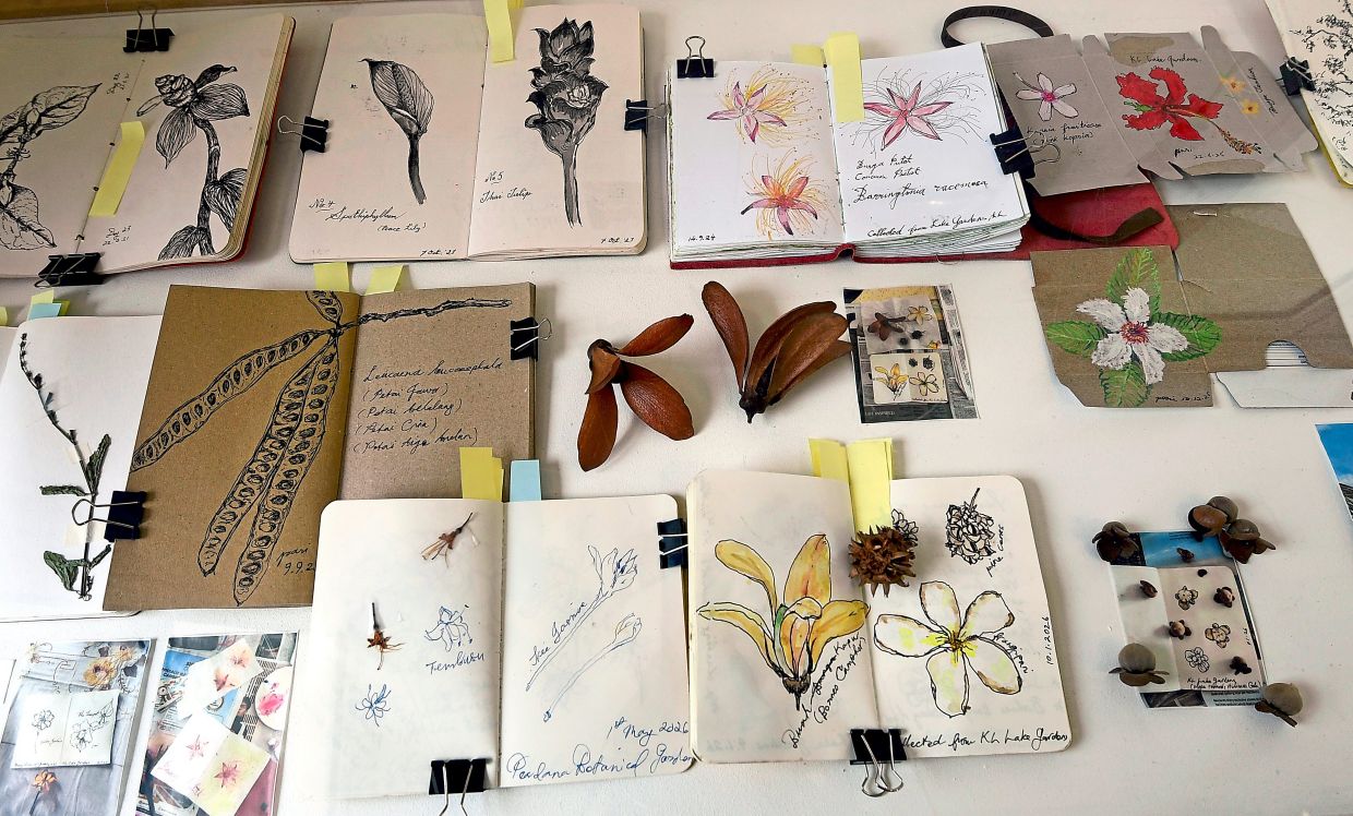A display of sketchbooks by self-taught artist Paridah, who regularly sketches at Perdana Botanical Gardens. Photo: The Star/Azhar Mahfof 