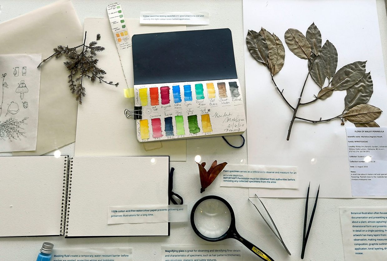 The exhibition also showcases the tools artists use to capture plant anatomy and colour. Photo: The Star/Azhar Mahfof