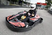 Stakeholders: Go-kart industry needs uniform security standards