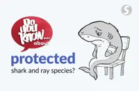 Do you know ... about protected shark and ray species?