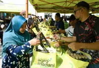 El Nino: Fama takes proactive steps to safeguard food supply