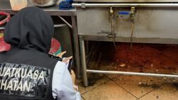 Pest faeces, unhygienic kitchens among reasons for temporary closures of 12 KK eateries