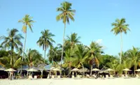 M’sians eye wildlife adventures and island escapes