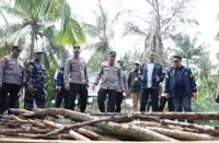Riau Police foil effort to smuggle mangrove charcoal to Malaysia
