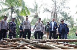 Riau Police foil effort to smuggle mangrove charcoal to Malaysia