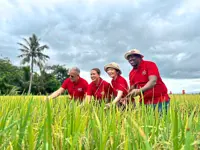 From padi field to the high chair