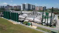 Brewing green