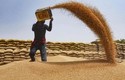 China, US agree tariff cuts on US$60bil of goods including agriculture, household items