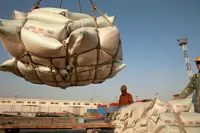 US, China ease tariffs on US$60bil in trade