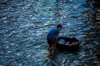 Thai Airways cuts flights, battles baggage chaos as Bangkok floods ease