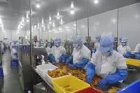 Surging Chinese orders sweeten livelihoods for Cambodian mango factory workers, farmers