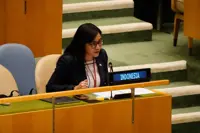 Indonesia rejects allegations of systematic rights violations in Papua