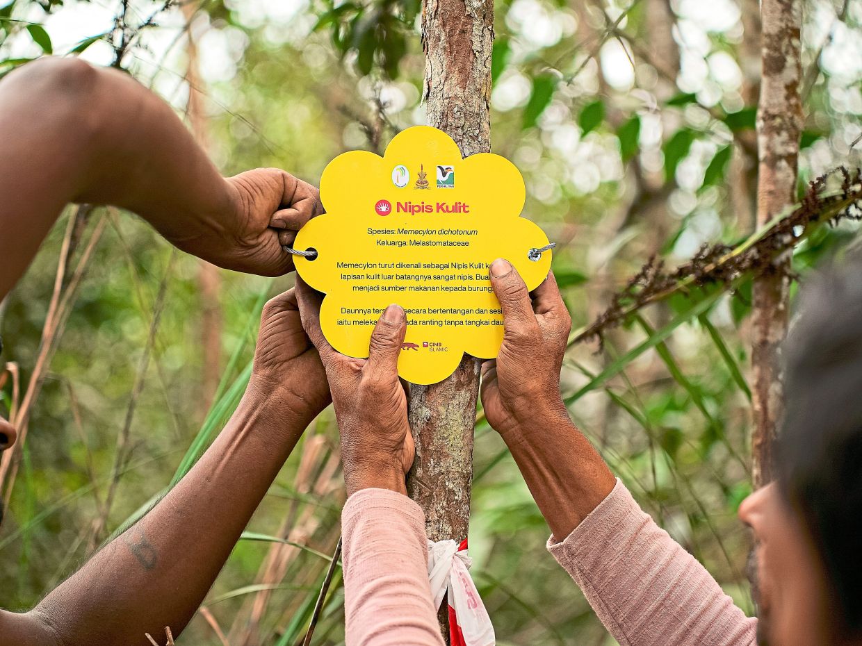 The Penjaga Gunung initiative is introducing interactive learning experiences on hiking trails to create environmental awareness. — Photos: Handout