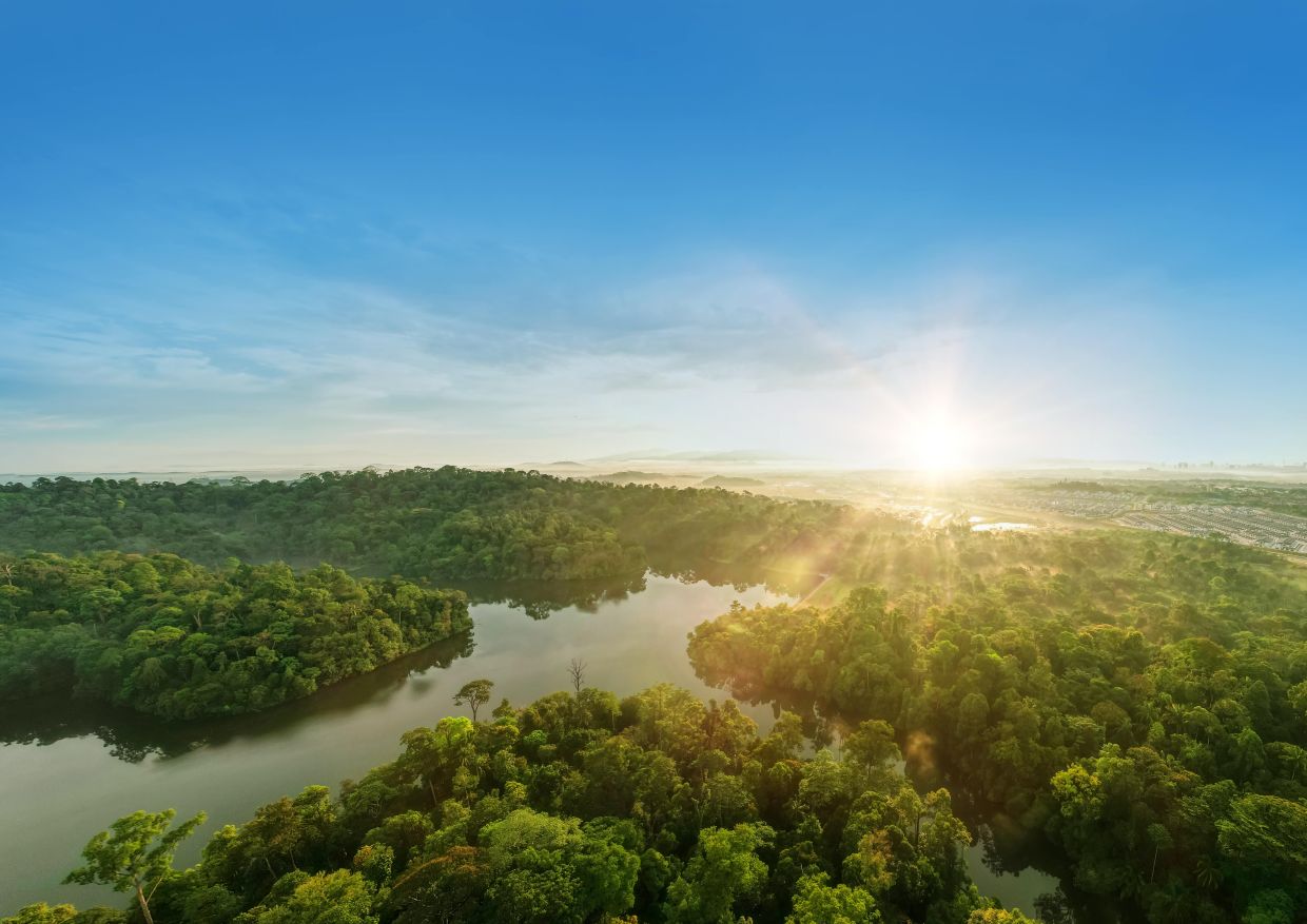 Elmina Central Park forms part of a wider green connection to the 1,093ha Bukit Cherakah Forest Reserve.