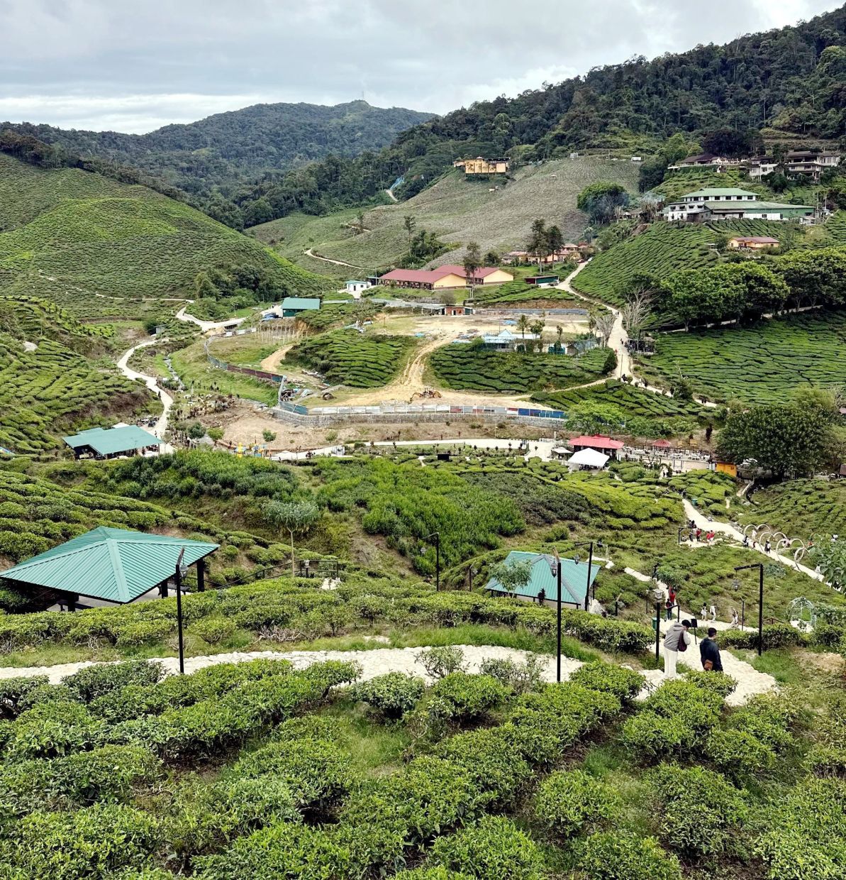 Cameron Highlands is a highland paradise graced by nature, where layered hills roll in lush greenery and drifting mists weave through the landscape. — NG KOK LEONG/The Star
