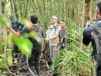New way to delve into S’gor forests