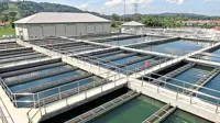 WATER AS AN ECONOMIC DRIVER