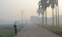 'Gift from God': Rain brings relief from Indonesia's toxic haze