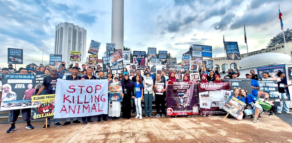 Execute AWA supporters making their stance known during the first gathering at Dataran Merdeka, Kuala Lumpur, in May 2025.