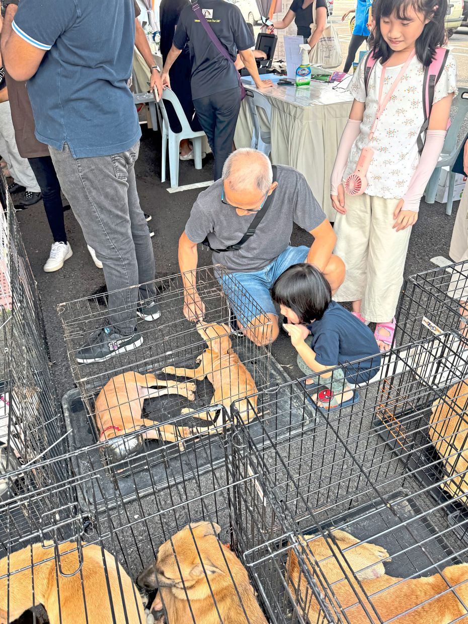 Visitors checking out dogs available for adoption at Paws to Home by IJM Land at S2 Heights Aman in Seremban. — Photos: Handout