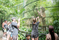 Investigation finds animal welfare concerns at Bali wildlife attractions